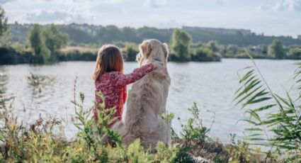 3 razas de perros más amigables con los humanos