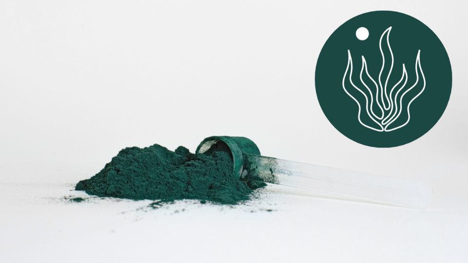 Spirulina. Fuente: Pexels / Supplements On Demand