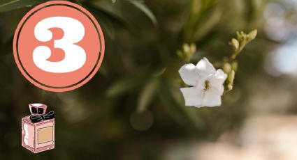 3 perfumes que huelen a jardín y usan todas las mujeres elegantes para dejar huella