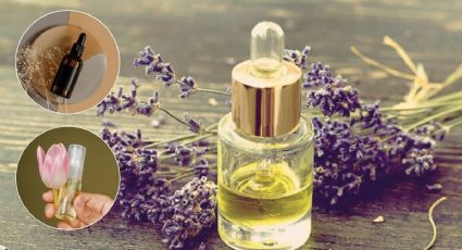 Haz estos aceites esenciales a base de plantas del hogar y ahorra en perfumes