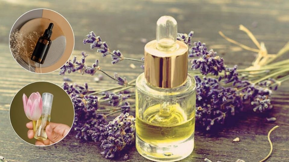 Aceites esenciales que funcionan como perfumes. Fuente: producción Panorama España. Créditos: Pixabay