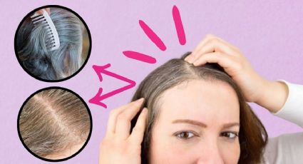 ¿Qué le sucede a tu cabello si arrancas una CANA de raíz?