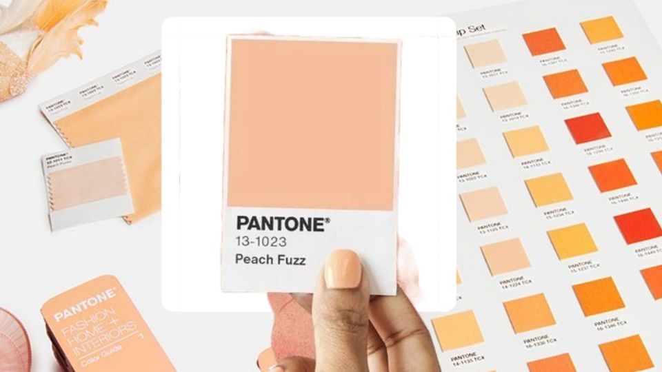 Este es el color de tendencia en 2024. Fuente: producción Panorama Créditos @pantone