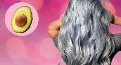 Aprende cómo quitar las canas y arrugas solo con pepas de AGUACATE