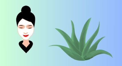 Con aloe vera, prepara esta mascarilla casera ideal para todo tipo de piel