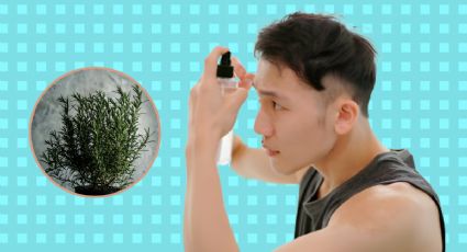 Detiene la caída del cabello de forma natural con estas plantas medicinales