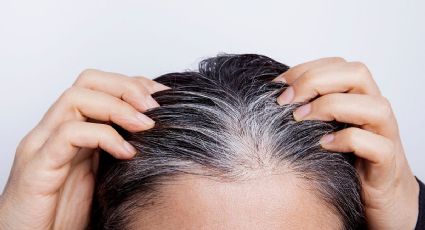 ¡Atención a las CANAS prematuras! pueden advertir estas enfermedades