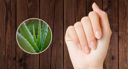 Solo con aloe vera, el truco de expertos para fortalecer las uñas y hacerlas crecer en pocos días