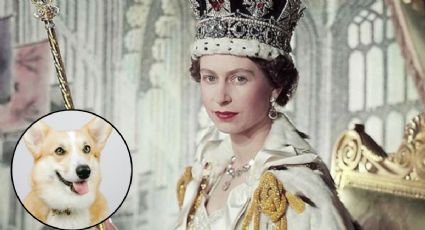 A 98 años del nacimiento de la Reina Isabel II: ¿Qué ocurrió con los 4 corgis qué vivían con la soberana?