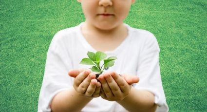 La Tierra en peligro: 5 amenazas actuales para el medio ambiente, según los expertos