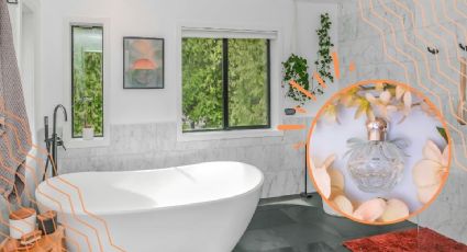 ¿Cómo hacer un aromatizante casero para el baño y eliminar los malos olores?