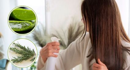 Combina romero y aloe vera para hacer shampoo para oscurecer las canas naturalmente