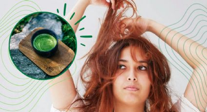 Haz este remedio casero con té verde para fortalecer el cabello y prevenir su caída