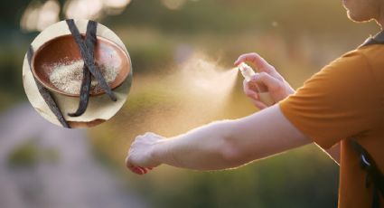 Prepara este infalible repelente casero para insectos con solo dos productos