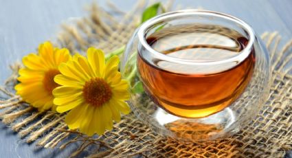 Descubre las infusiones antiinflamatorias que reducen el dolor de cabeza naturalmente