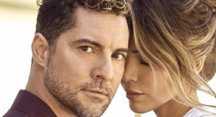 ¿Cómo se conocieron David Bisbal y Rosanna Zanetti?