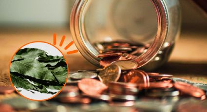 Ritual con laurel para atraer dinero urgente