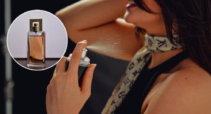 Dupes de perfumes de lujo que venden en Mercadona por 8 euros