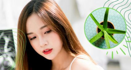 Mascarilla con aloe vera para tener una piel de porcelana