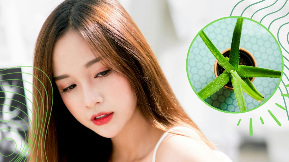 Mascarilla con aloe de vera para tener una piel de porcelana
