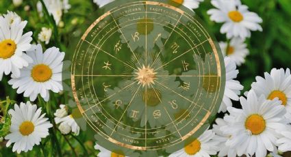 Test de personalidad: ¿Qué flor eres según tu signo zodiacal?