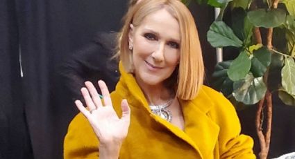 Celine Dion: ¿Cuánto dinero tiene la cantante a sus 56 años?