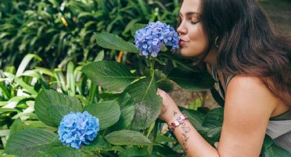 Las mejores plantas con flores para hacer un jardín de sombra en casa