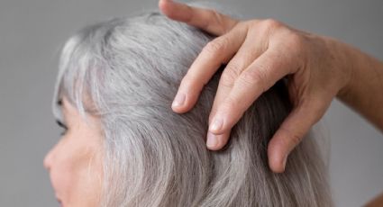 Las mejores mechas blancas para lucir con orgullo el pelo con canas